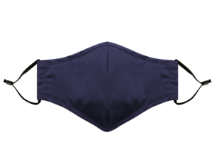 Blue Cloth Mask